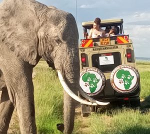 Open roof safari Land Cruiser game drive in Tanzania