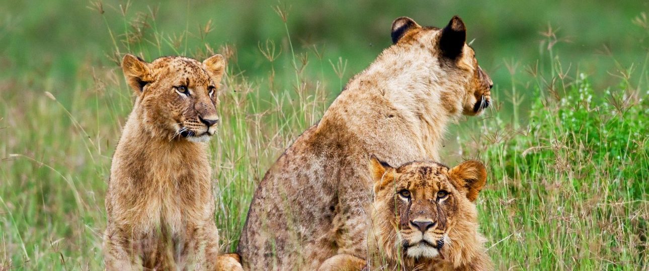 accessible travel in Kenya